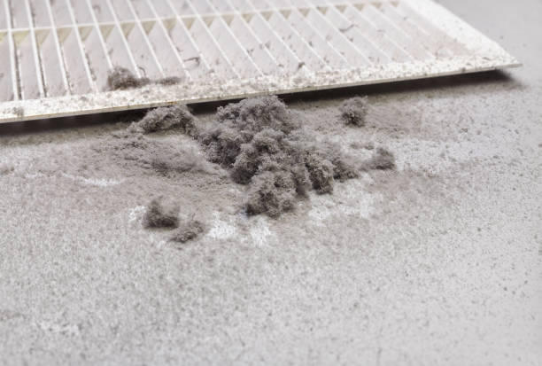 Best Ductwork Cleaning Services  in Manchaca, TX